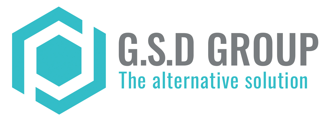 G.S.D GROUP INC.