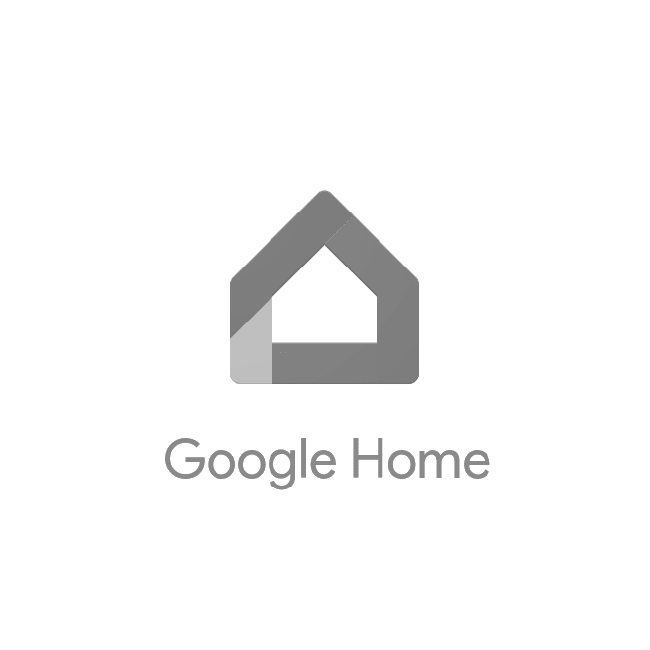 Google Home